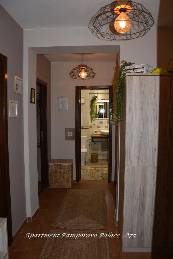 Apartment Pamporovo Palaсe A75 Buitenkant foto